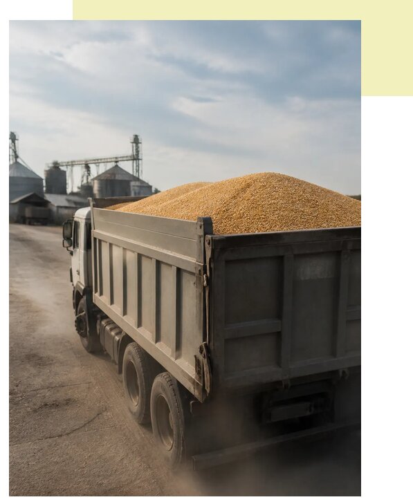 Перевозка сельхозпродукции навалом в Анжеро-Судженск по цене от 3077 р. | Агросервис-Нжр